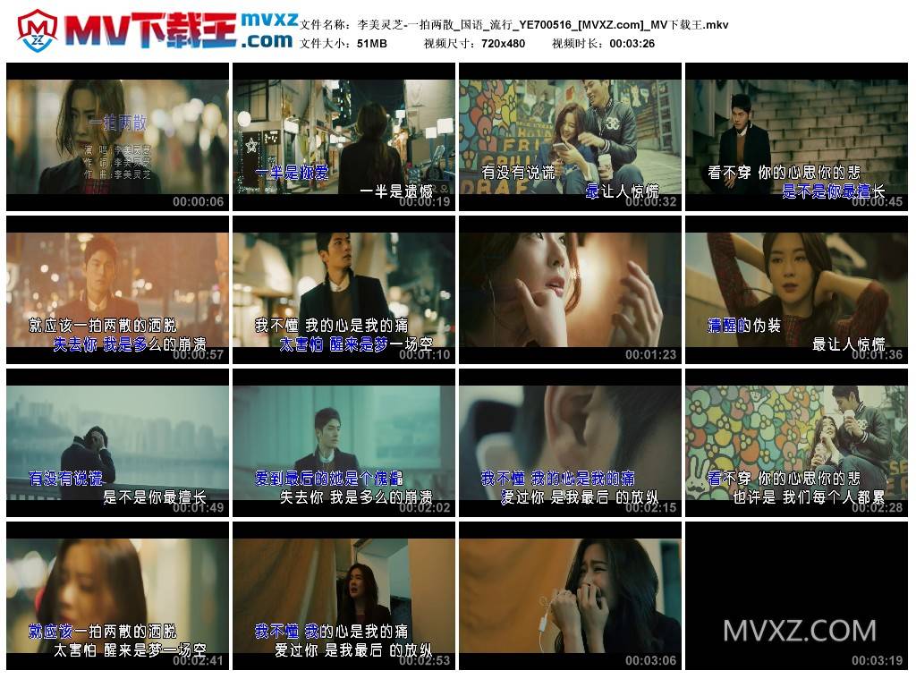 李美灵芝-一拍两散_国语_流行_YE700516